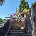 Tiha * 察夫塔特