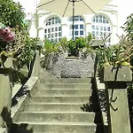Tiha *