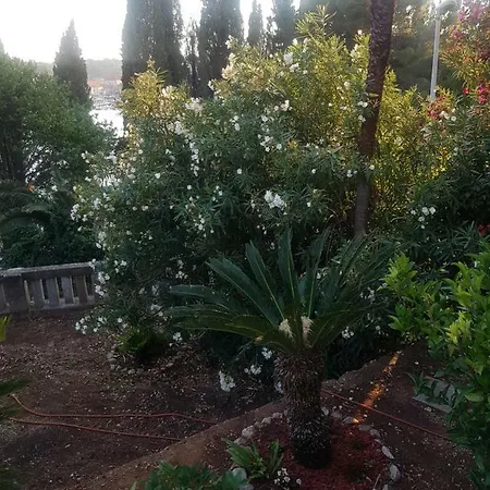 Tiha Lejlighed Cavtat