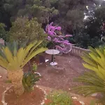 Tiha 아파트 챠브타트