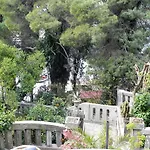 Tiha * 챠브타트