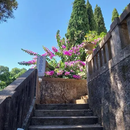 Tiha * Cavtat