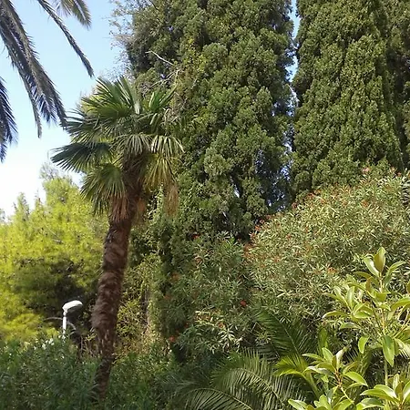 Διαμέρισμα Tiha *