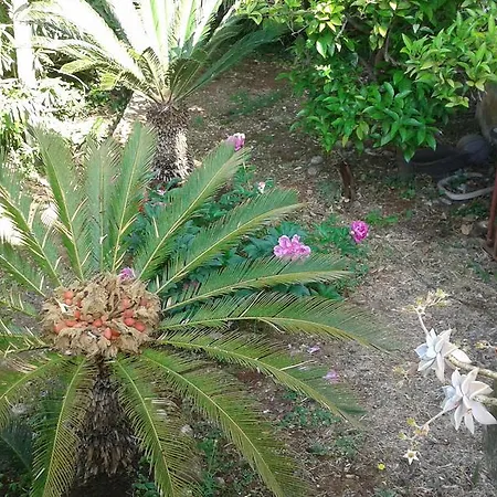 Appartamento Tiha
