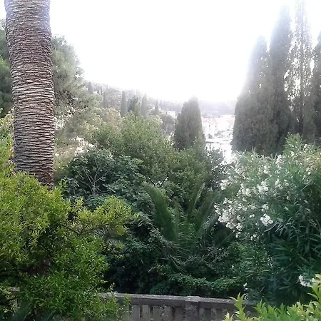 Tiha Cavtat