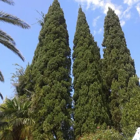 Tiha Διαμέρισμα