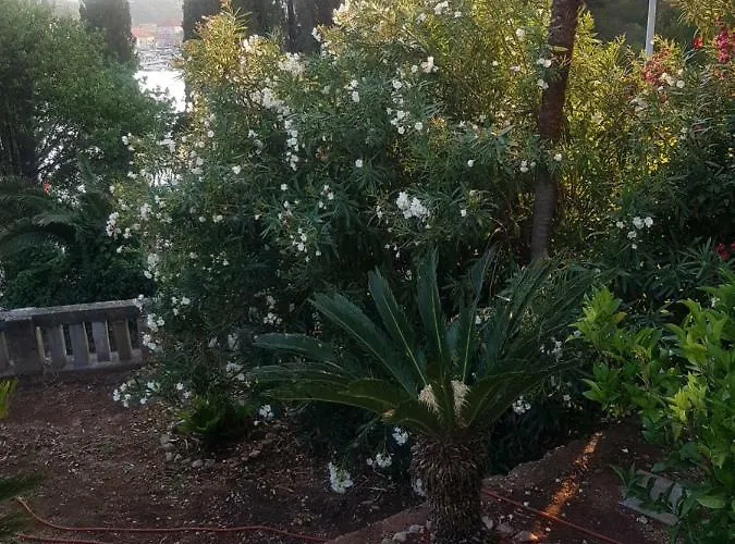 Tiha Apartmán Cavtat